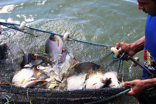 13431723104_e773a4bbb2_z