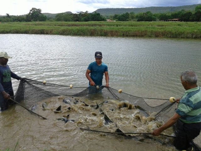 31159998956_b354e8cd51_z