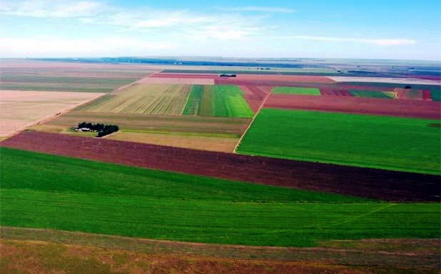 A Coaceral, em foto publicada no Jornal Nova Fronteira. A valorização das terras aguça a cobiça sobre mais de 300 mil hectares.