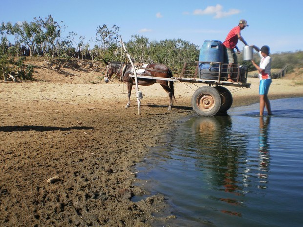 A leste do Piauí já choveu, mas muito pouco, proporcionando o fenômeno da "Seca Verde".