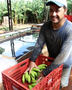 9507972483_0b50d99bd2_z