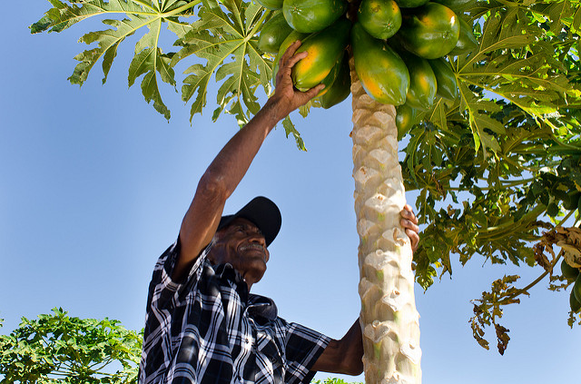 9656147287_69ae2ccbd4_z