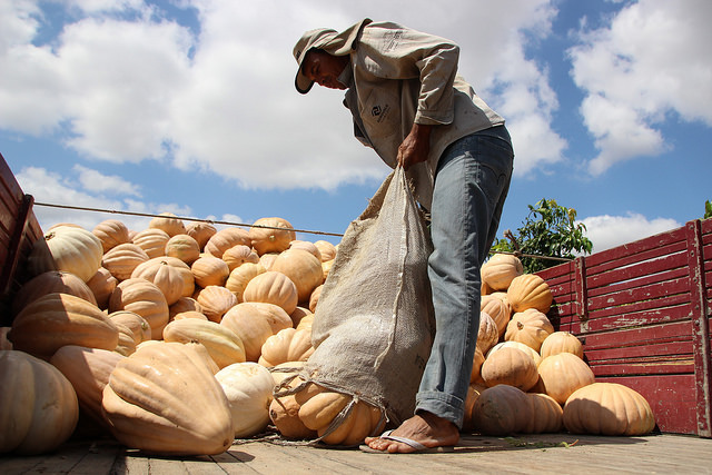 32086015155_d1d2d97e73_z