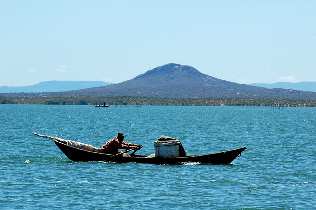 30085519931_15ae69c575_z