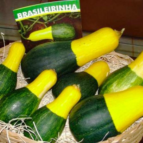 Existe a abobrinha e existe a maravilhosa abobrinha verde-amarela, a preferida de Bolsonaro.
