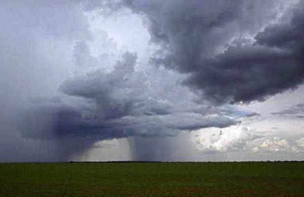 Chuva farta para a lavoura causa prejuízo nas cidades do Oeste |