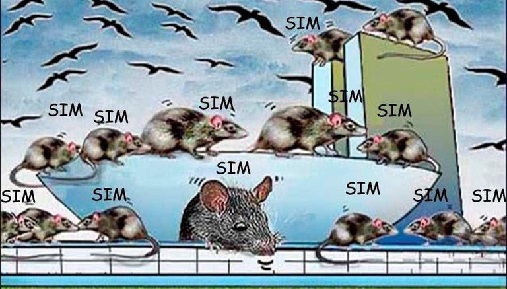 CONGRESSO, UM NAVIO INFESTADO DE RATOS | Falando de Brasil